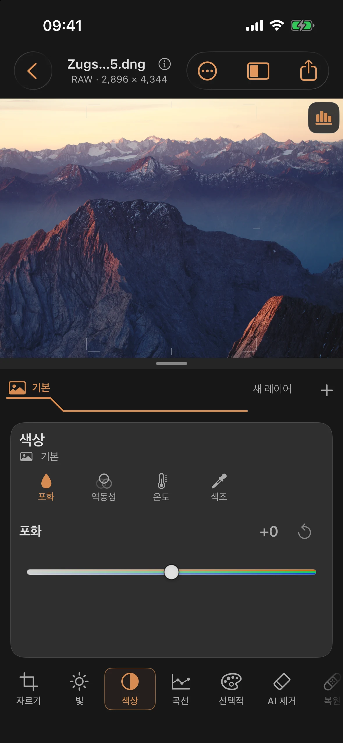 색상: 화이트 밸런스, 다이내믹 레인지 및 채도