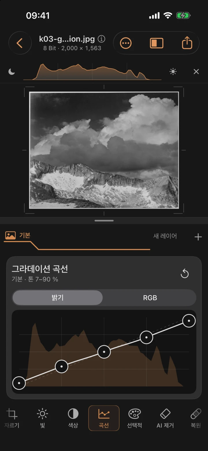 카 모티프를 부드럽고 평평하게 재해석한 디자인